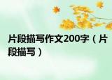 片段描寫作文200字（片段描寫）