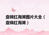 盤(pán)錦紅海灘圖片大全（盤(pán)錦紅海灘）