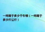 一噸等于多少千牛頓（一噸等于多少斤公斤）