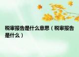 稅審報告是什么意思（稅審報告是什么）