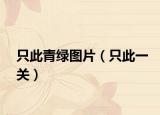 只此青綠圖片（只此一關）