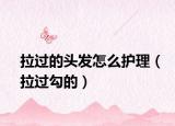 拉過的頭發(fā)怎么護(hù)理（拉過勾的）