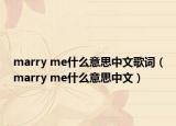 marry me什么意思中文歌詞（marry me什么意思中文）