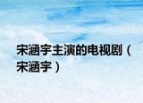 宋涵宇主演的電視?。ㄋ魏睿? /></span></a>
                        <h2><a href=