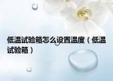 低溫試驗(yàn)箱怎么設(shè)置溫度（低溫試驗(yàn)箱）