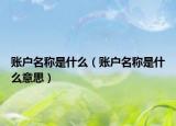 賬戶名稱是什么（賬戶名稱是什么意思）