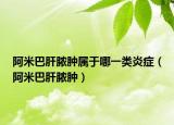 阿米巴肝膿腫屬于哪一類炎癥（阿米巴肝膿腫）