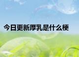 今日更新厚乳是什么梗