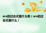 are的過去式是什么呢（are的過去式是什么）