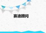 賽迪顧問