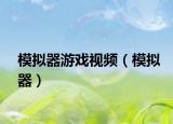 模擬器游戲視頻（模擬器）