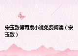 宋玉致傅司宸小說免費閱讀（宋玉致）