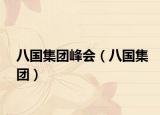 八國(guó)集團(tuán)峰會(huì)（八國(guó)集團(tuán)）