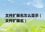 文件擴展名怎么顯示（文件擴展名）
