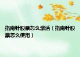 指南針股票怎么激活（指南針股票怎么使用）