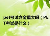 pet考試含金量大嗎（PET考試是什么）