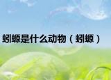 蚓螈是什么動(dòng)物（蚓螈）