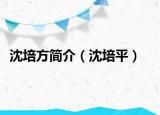 沈培方簡(jiǎn)介（沈培平）