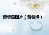 曾馨瑩圖片（曾馨嬅）