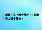 牛癟是牛身上哪個(gè)部位（牛癟是牛身上哪個(gè)部位）