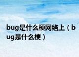 bug是什么梗網(wǎng)絡(luò)上（bug是什么梗）