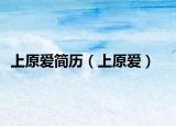 上原愛簡歷（上原愛）