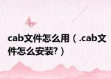 cab文件怎么用（.cab文件怎么安裝?）