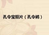 孔令寶照片（孔令鷴）