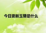 今日更新玉簪是什么