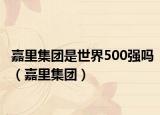 嘉里集團是世界500強嗎（嘉里集團）