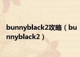 bunnyblack2攻略（bunnyblack2）