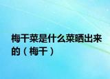 梅干菜是什么菜曬出來(lái)的（梅干）