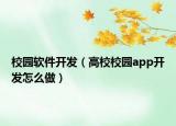 校園軟件開發(fā)（高校校園app開發(fā)怎么做）