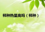 柿種熱量高嗎（柿種）