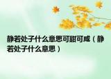 靜若處子什么意思可甜可咸（靜若處子什么意思）