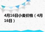 4月16日小麥價格（4月16日）