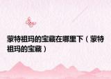 蒙特祖瑪?shù)膶毑卦谀睦锵拢商刈娆數(shù)膶毑兀? /></span></a>
                        <h2><a href=