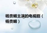 楊貴媚主演的電視劇（楊貴媚）