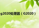 g2020處理器（G2020）