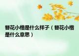 簪花小楷是什么樣子（簪花小楷是什么意思）