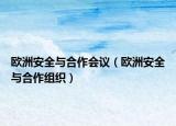 歐洲安全與合作會議（歐洲安全與合作組織）