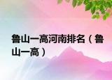 魯山一高河南排名（魯山一高）