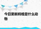 今日更新螞蝗是什么動(dòng)物