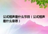 公式相聲是什么節(jié)目（公式相聲是什么意思）