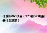 什么叫863項(xiàng)目（973和863項(xiàng)目是什么意思）