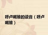 呼盧喝雉的讀音（呼盧喝雉）