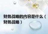 財務戰(zhàn)略的內容是什么（財務戰(zhàn)略）