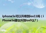 iphone5s可以升級(jí)到ios11嗎（iPhone5s建議升到ios9么?）