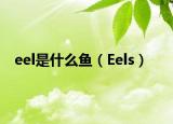 eel是什么魚（Eels）