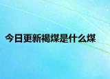 今日更新褐煤是什么煤